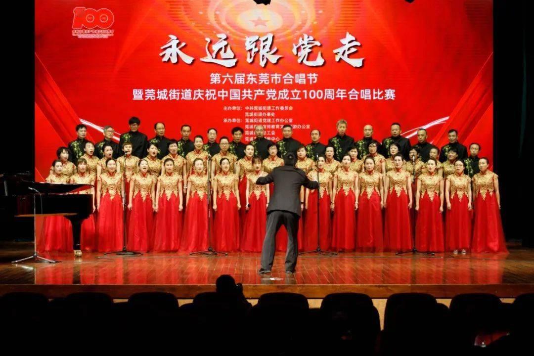 可怜猫的救援