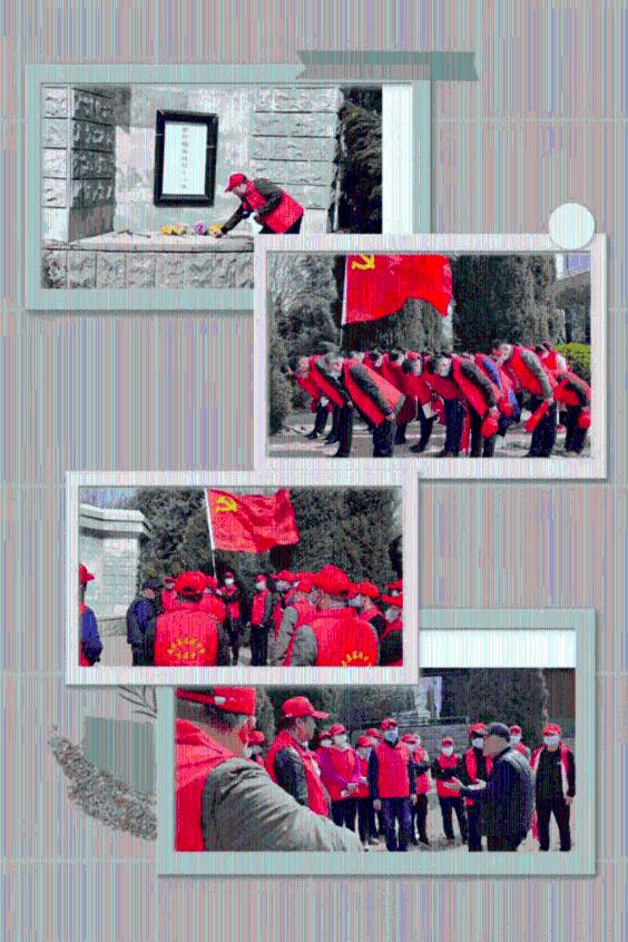 救援小孔雀
