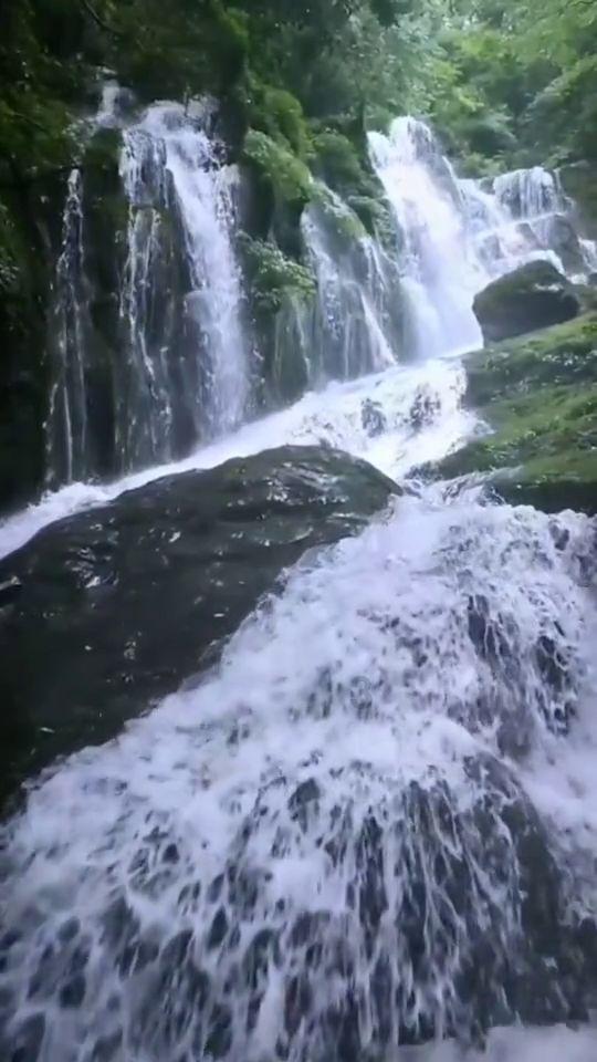 尤卡大莱莉冒险