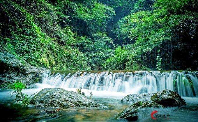 僵尸吃怪物